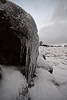 Reykjavikurvetrarmynd